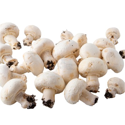 Шампиньоны свежие 500 г - купить в Мулдакаево